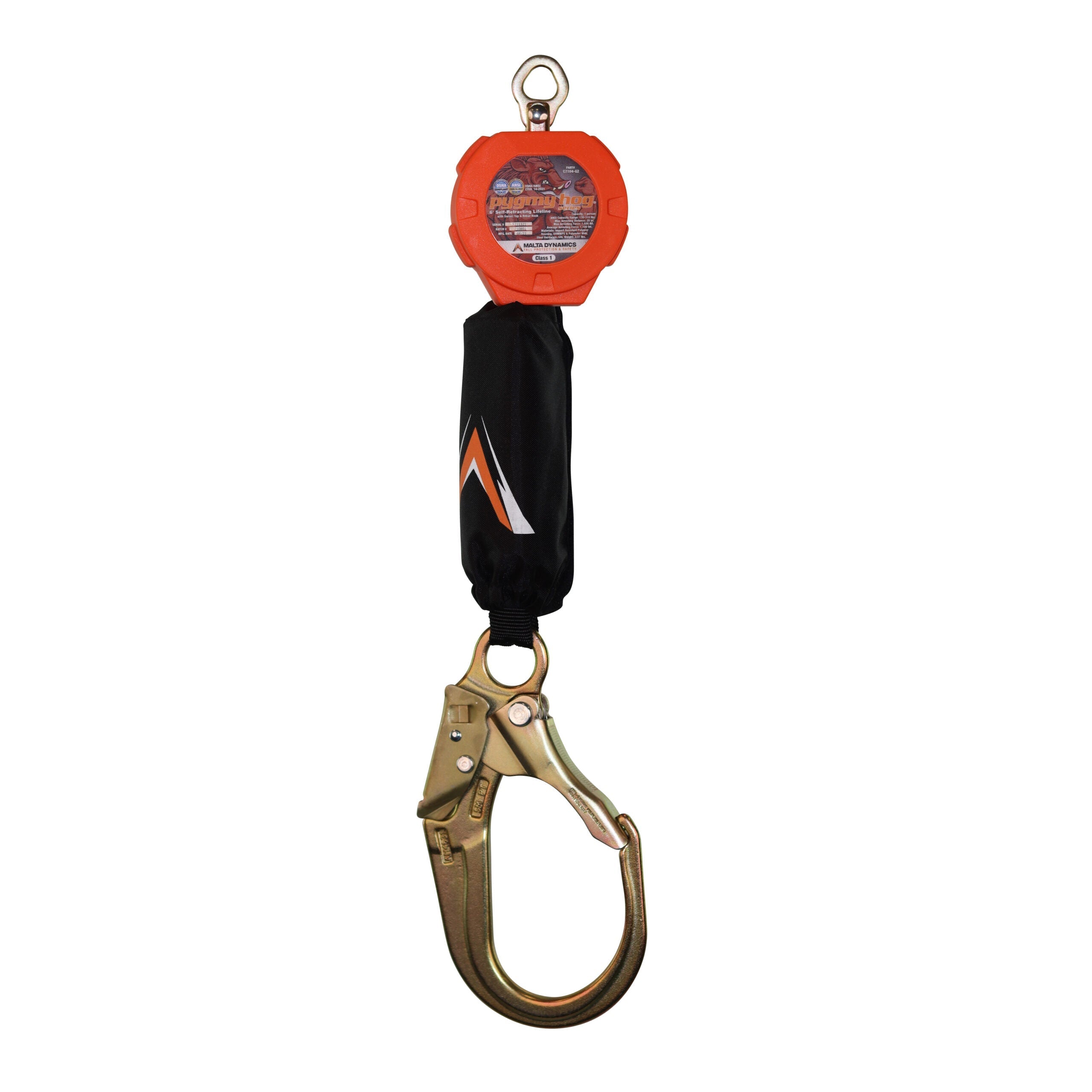 6'-PYGMY-HOG-SRL,-CLASS-1-P