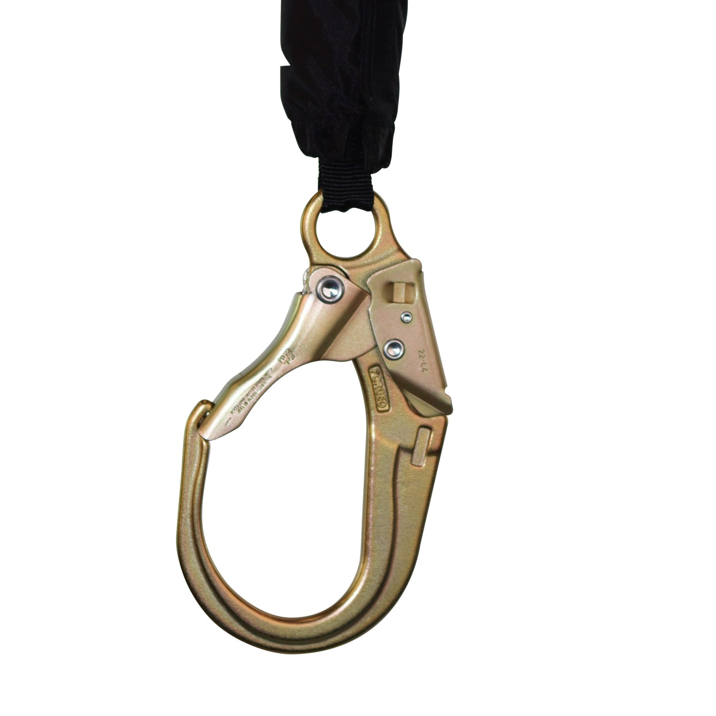 6' PYGMY HOG SRL, CLASS 1-P